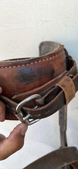 Buckingham Arborist Spurs Spikes Climbing