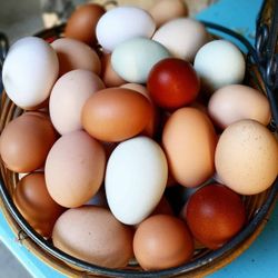 Farm Fresh Eggs