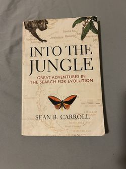 Into The Jungle