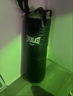 Everlast Punching Bag
