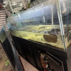 Fish tank