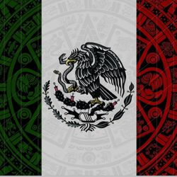 Mexico Flag 5ftx3ft $20 Firm On Price 