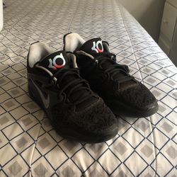 KD 15 “Maryland Roots”