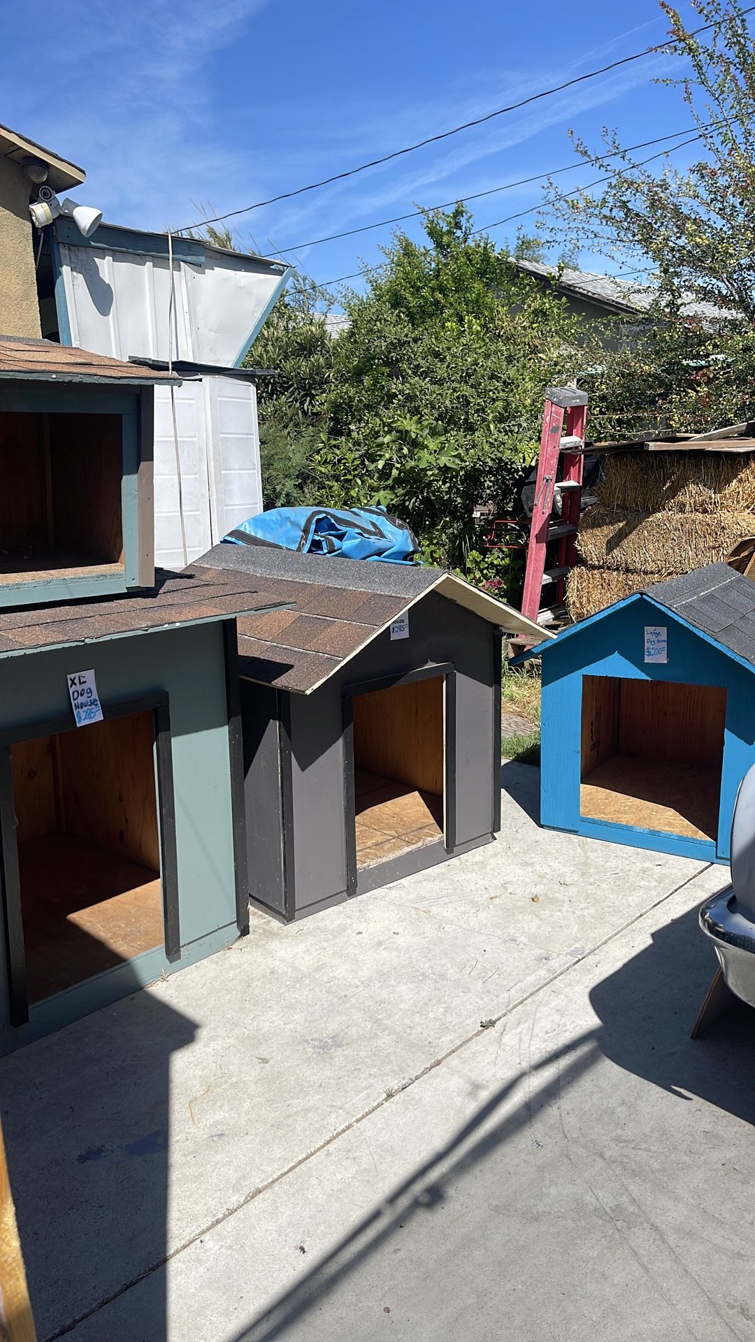 Dog Houses