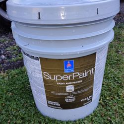 Sherwin Williams Exterior Satin Extra White Paint & Primer