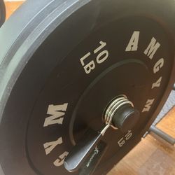 4x 2” 10LB Bumperplates 