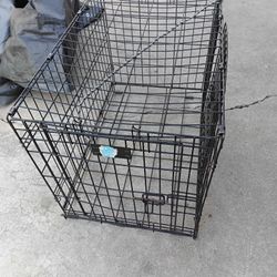 Training Kennel 2 Doors $25 Obo