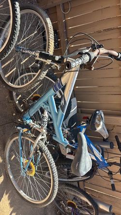 7 bike lot