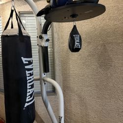 Punching Bag Everlast
