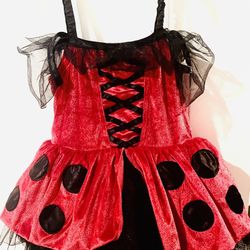 Ladybug Dress