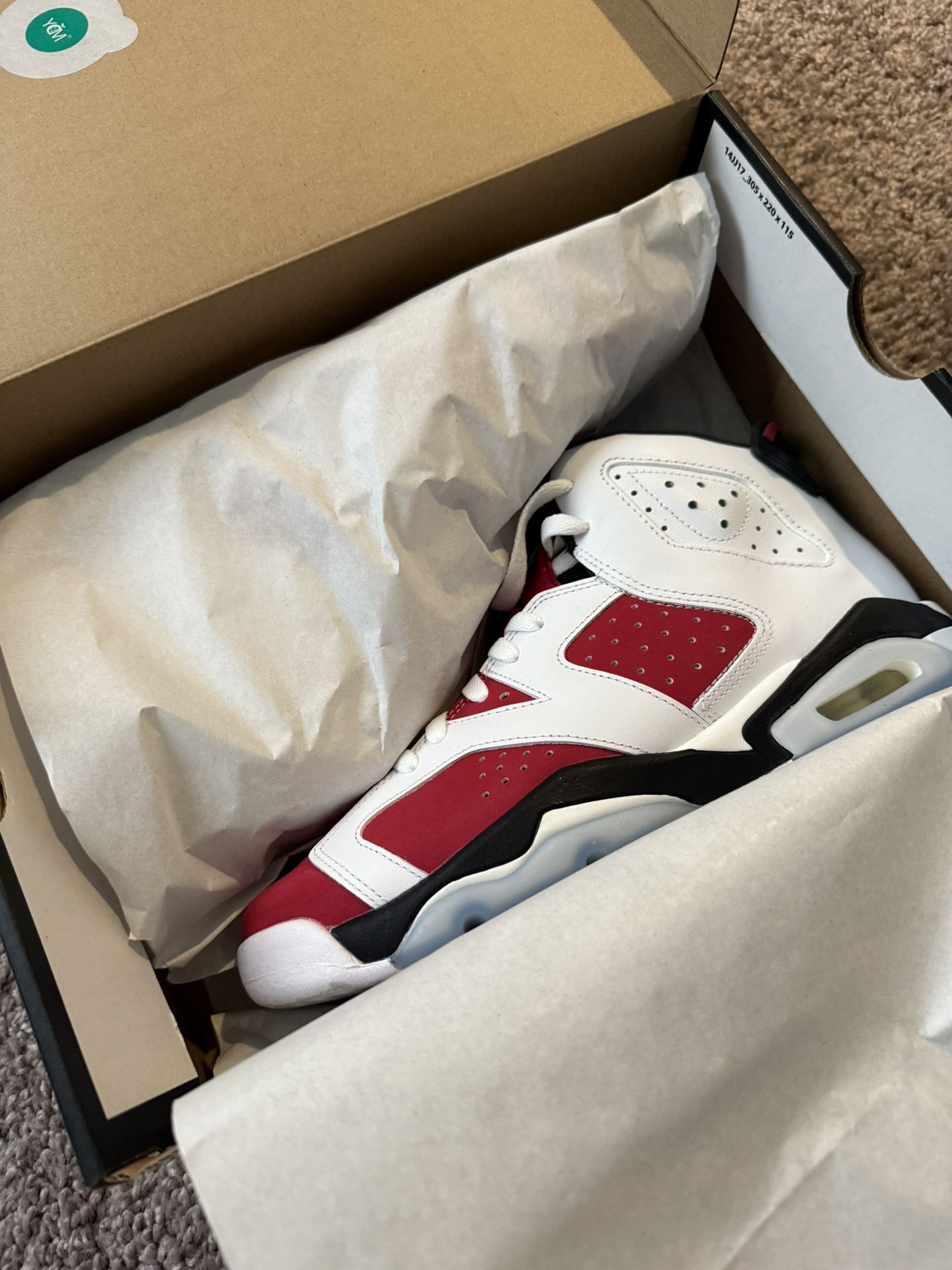 Jordan 6 “carmine”
