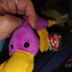 Rare Original Beanie Baby Made In Korea With Multiple Errors On Tag!! 