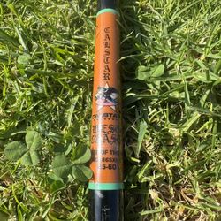 Calstar West Coast Fishing Rod