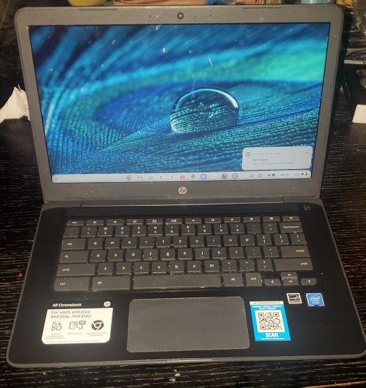 HP Chromebook 14"