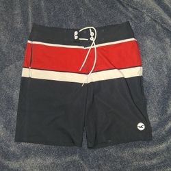 Hollister Men’s Swim Trunks/Traje De Baño Para Hombre 
