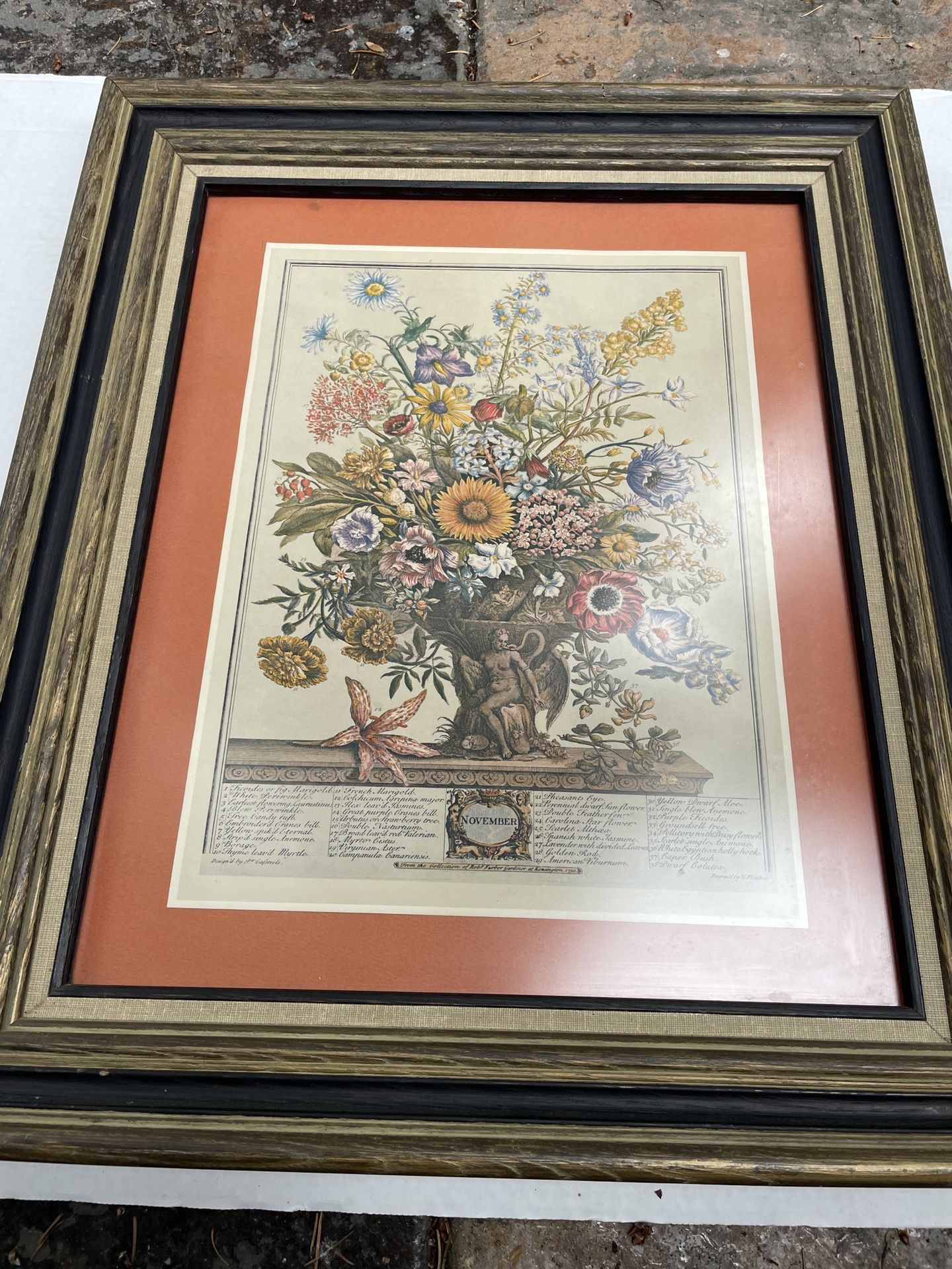 November, from 'twelve Months of Flowers' by Robert Furber 