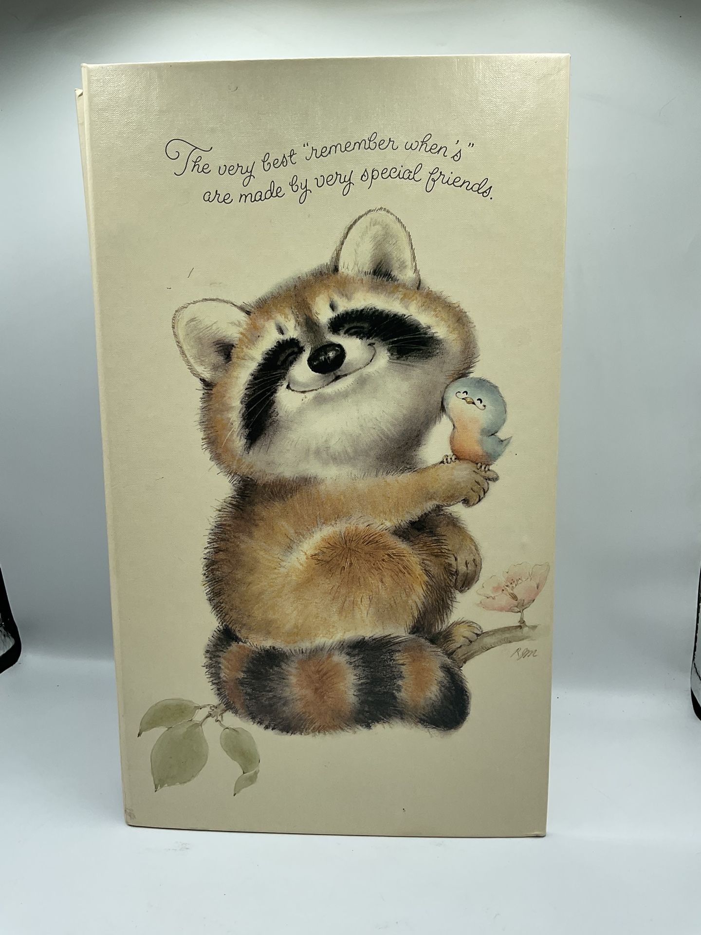 Vintage Critter Sitters Raccoon Photo Album Hallmark RARE 1970s