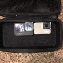 2 GoPros