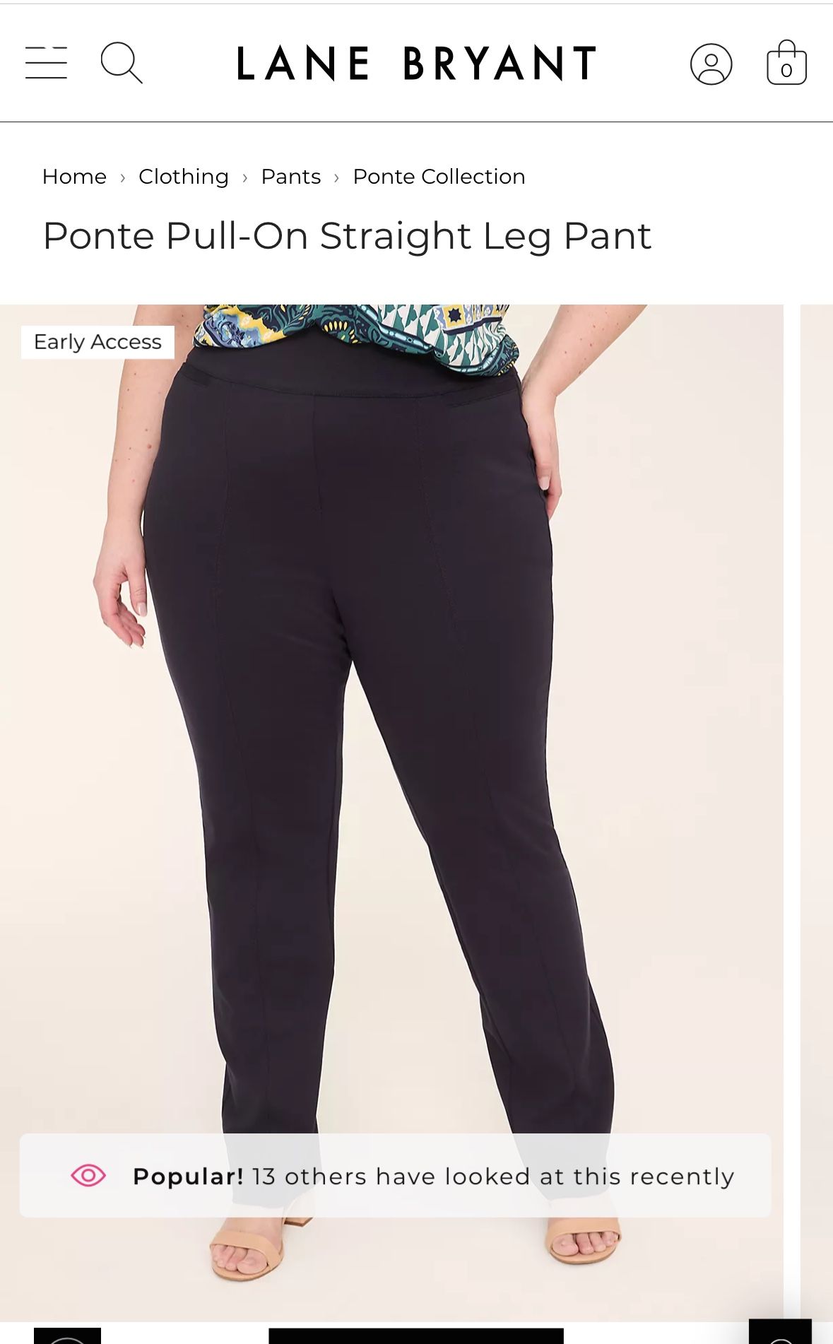 Lane Bryant Black Pull On Pants
