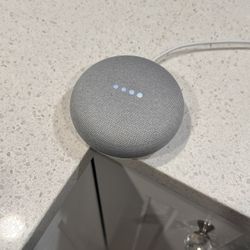 Google Home Mini