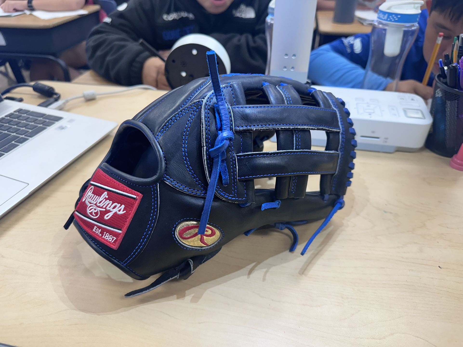 Rawlings Outfield Glove