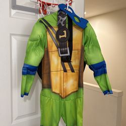 Ninja Turtle Costume 