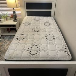 2 Twin Size Beds 500 EACH,  + $100 For EACH Mattress