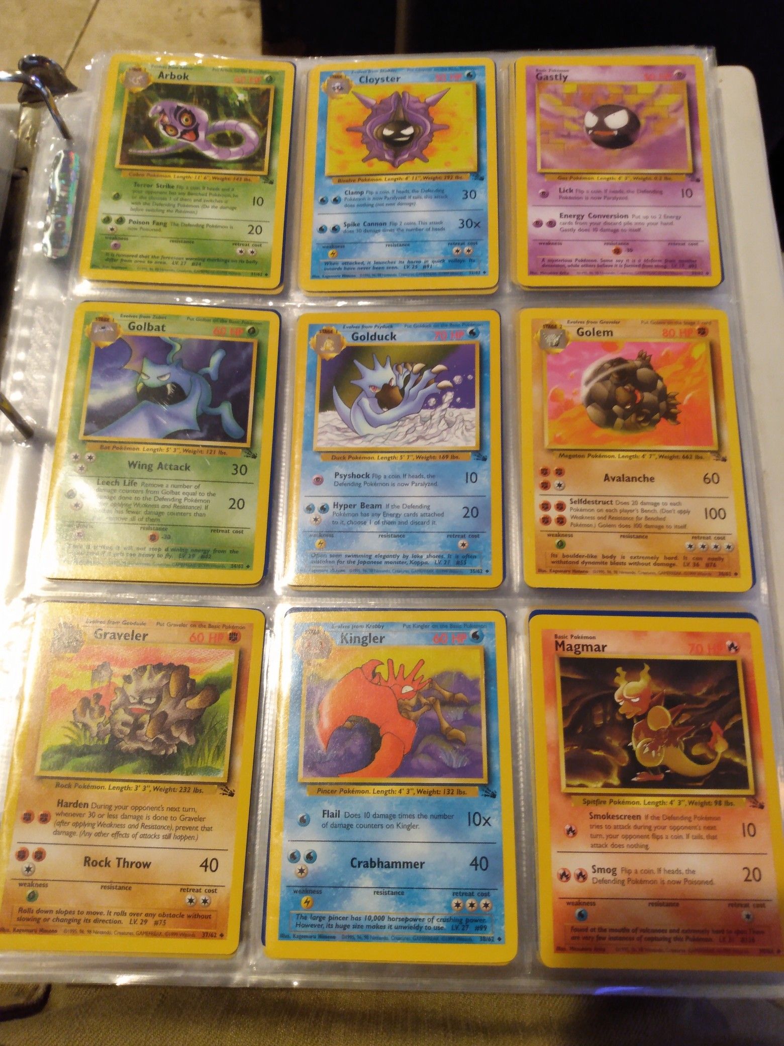 Fossil Uncommon and Common Complete Set