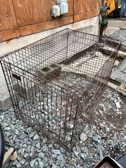 Dog crate