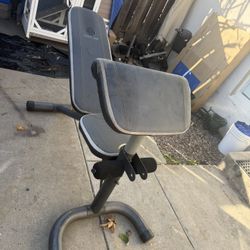 Bench With Preacher Curl And Leg Curl 