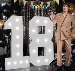LED Number 18 Sign