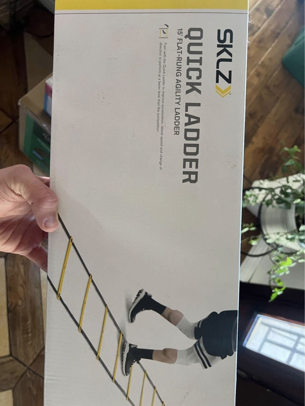 Quick Ladder