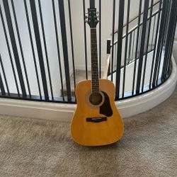 Silvertone  Pro Series Guitar with Soft Case