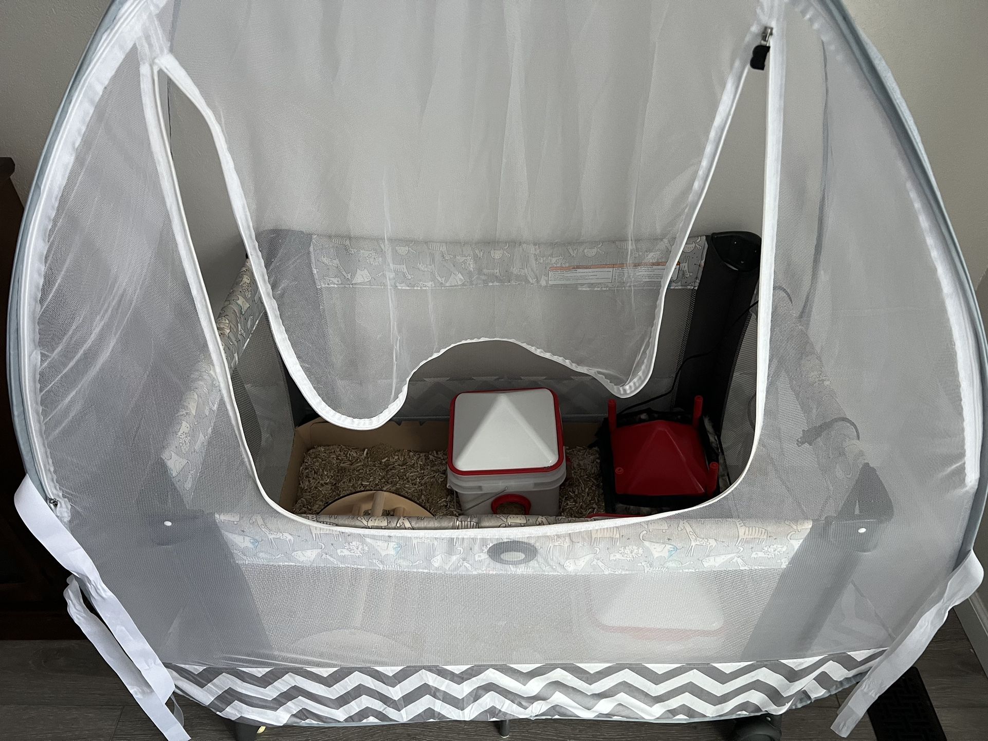 Pack N Play Chick Brooder