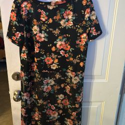 Cute Dress Roses