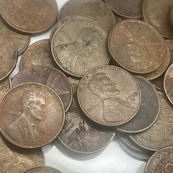 Lot Of 15 Wheat Pennie’s 