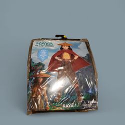 Disney Raya 7 Piece Costume Size Small 4-6