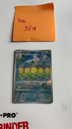chinese sunflora
