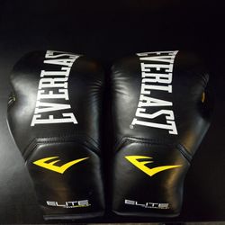 Brand New Everlast Boxing Gloves 