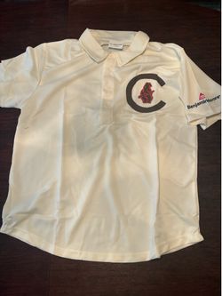 Chicago Cubs vintage style shirt