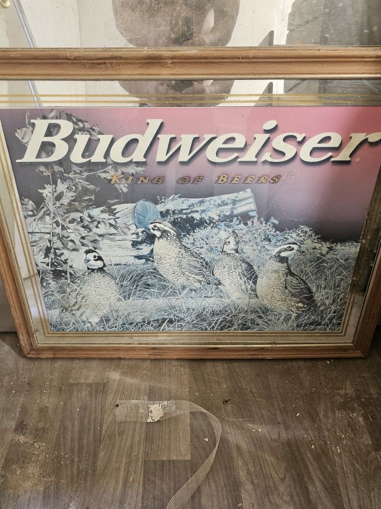 Budwieser Mirrior