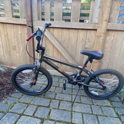 20” Brown mongoose Bike 