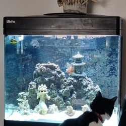 Red Sea max 34gal All In One Saltwater Tank And Stand.