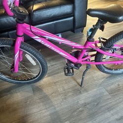 Girls bike 20in