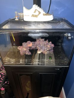 Nano Reef Tank