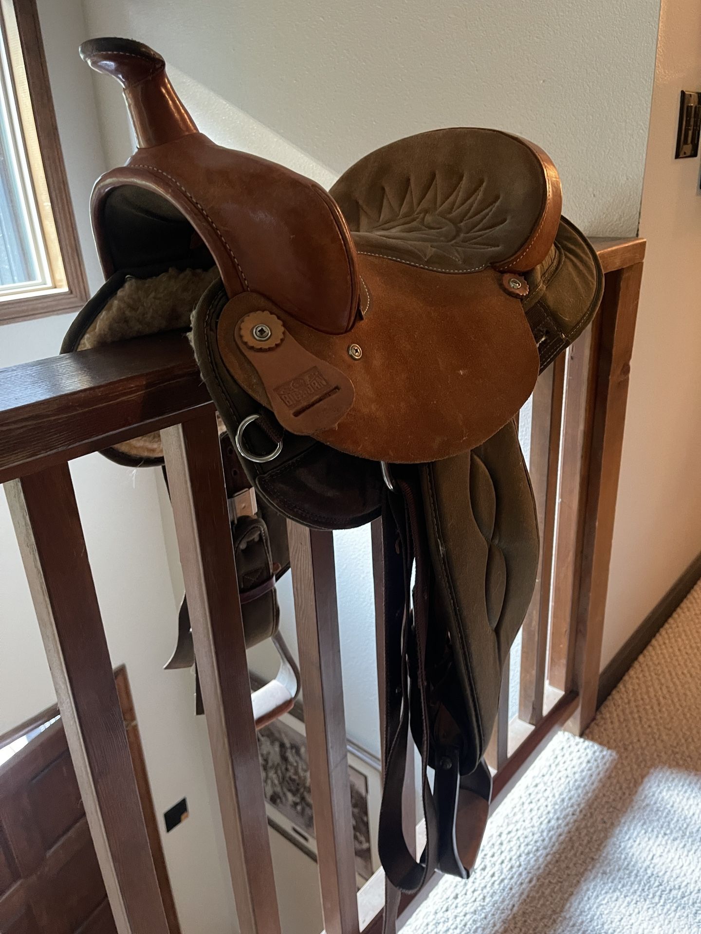 Bighorn Saddle
