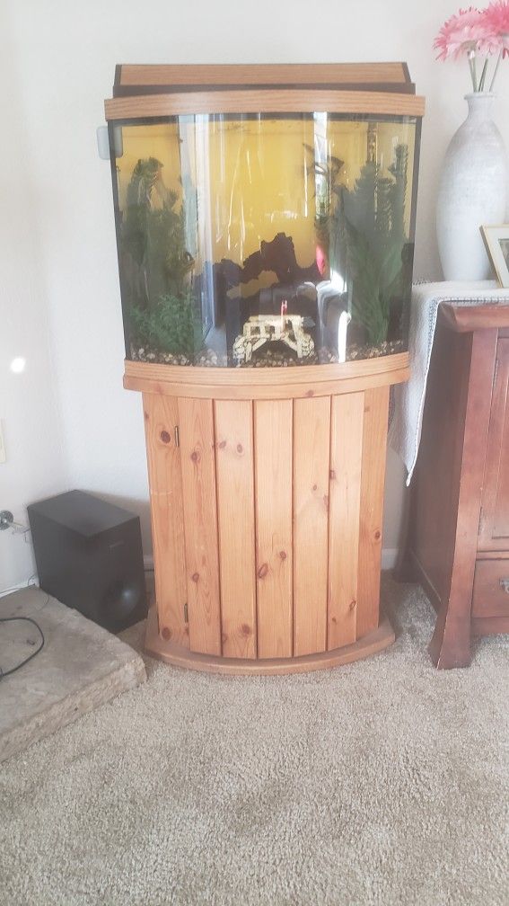 36 Gallon Fish Tank