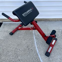 Back Extension Machine