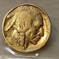 #293 Buffalo Nickle 1928 Coin 
