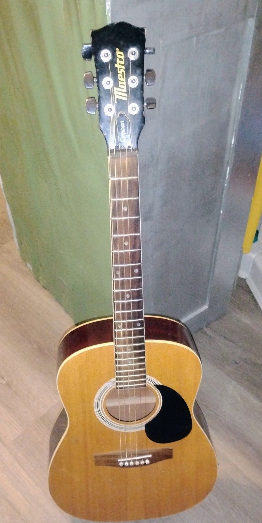 Maestro Concert Acoustic Guitar